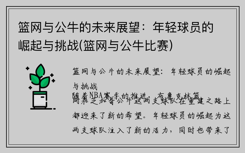 篮网与公牛的未来展望：年轻球员的崛起与挑战(篮网与公牛比赛)